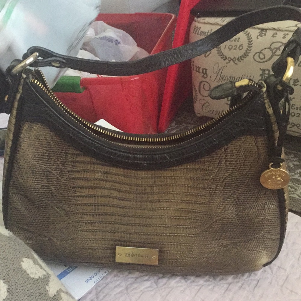 Brahmin purse